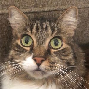 Meet your Posher, Marcus